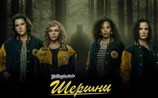 Сериал «Шершни» вернётся с датой выхода 2 сезона
