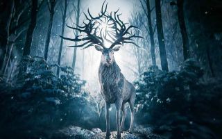 Тень и Кость вернется с датой выхода 2 сезона