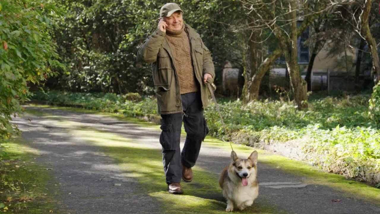 «Следопыт»: будет ли 2 сезон и когда дата выхода на 5-канале Сериал Следопыт 2 сезон график серий на 5 канале и дата выхода в 2026 году