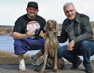 Будет ли 2 сезон ленты «След. Новые легавые» на Пятом канале? Заставка для сериала «След. Новые легавые» и возможная дата выхода 2 сезон в 2026-2027 году