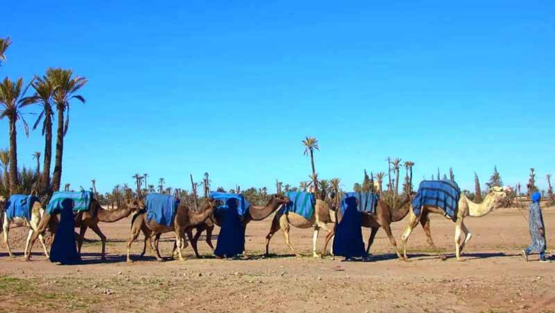 «Мастер игры» — кадр из телешоу, премьера второго сезона наступит в 2026 года.